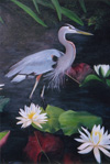 Among the Lilies