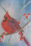 Cardinal Chill