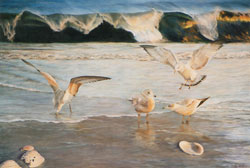 Seagulls at Sunset