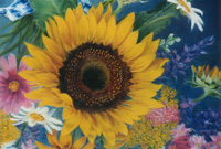 Sunflower and Friends