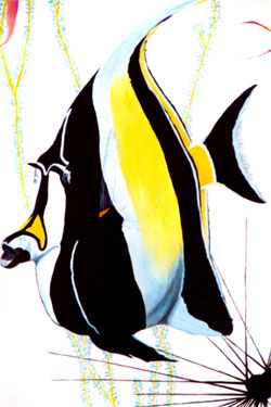 Tropical Fish